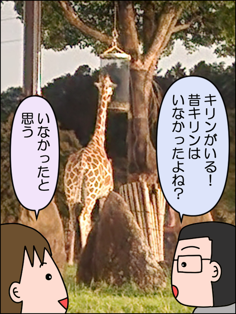 2609wzoo12