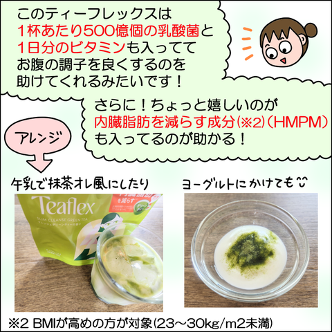 ティーフレックス06