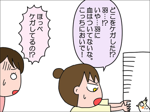 2309wpani06