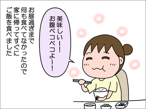 2410wika13