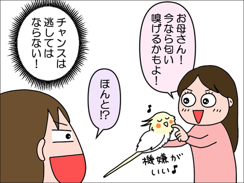 2402tokame03