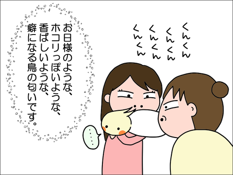 2402tokame04