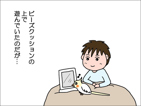 2304ohoppe02