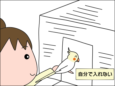 2104tori05