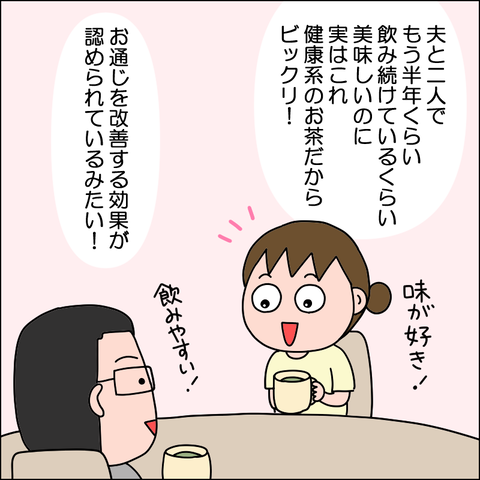 ティーフレックス04