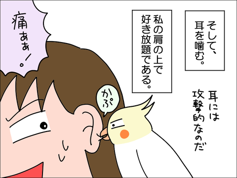 2211lhoppe06