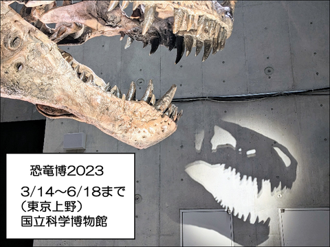 2303pkyo28
