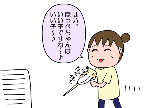 2307imiso07