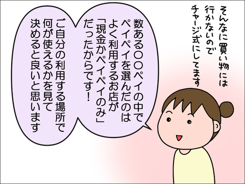 2406vpay17