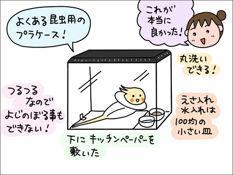 2406okame82