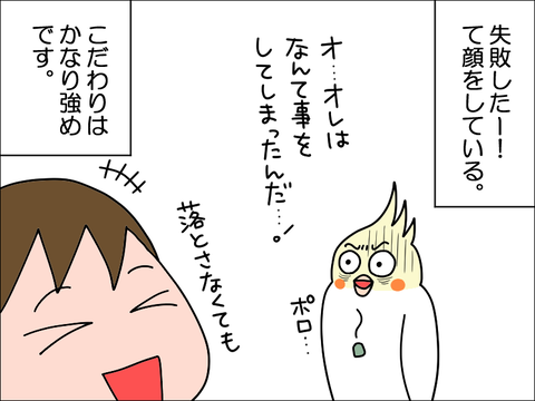 2306qhoppe06