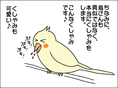 1905okame04