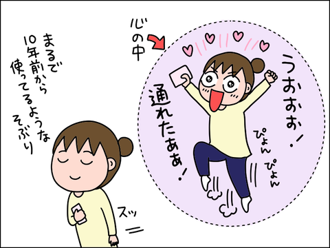 2504hsuica11