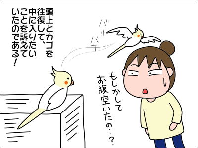 2104tori04