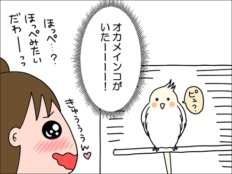 2302qhoppe04