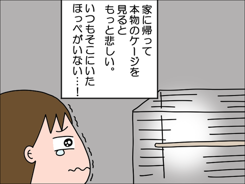 2406okame32