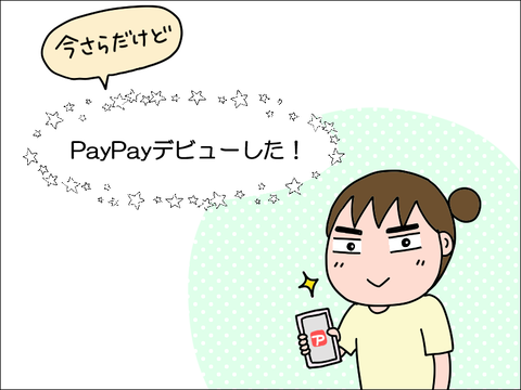 2406vpay01