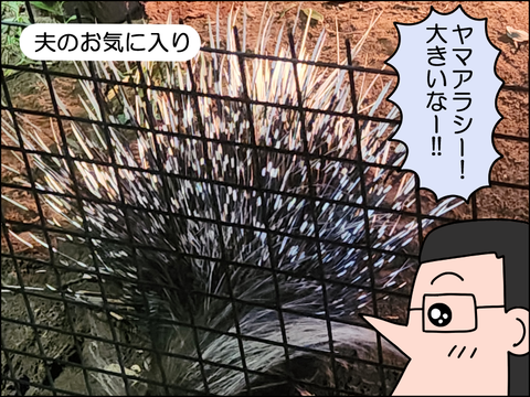 2609wzoo09