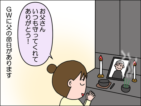 2505vmei01