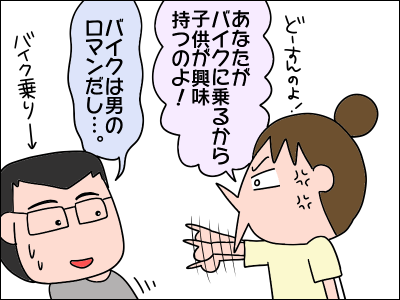 2009bike05