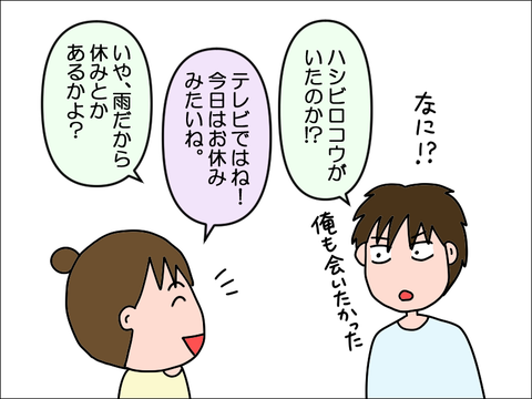 2304wryo113