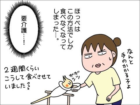 2406okame96
