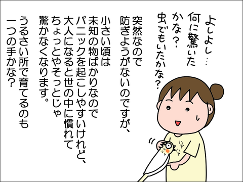 2309wpani04