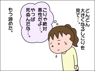 2102bnyu33