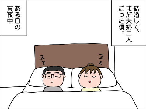 2306rkana02