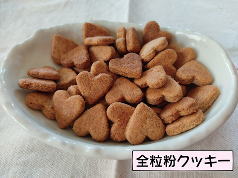 2104okasi01