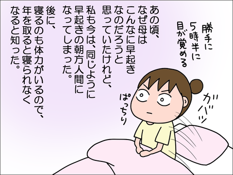 2308vne06