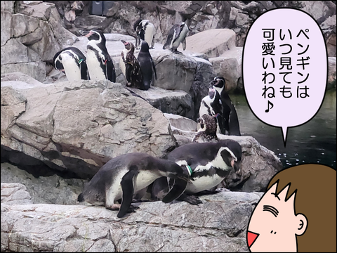 2609wzoo11