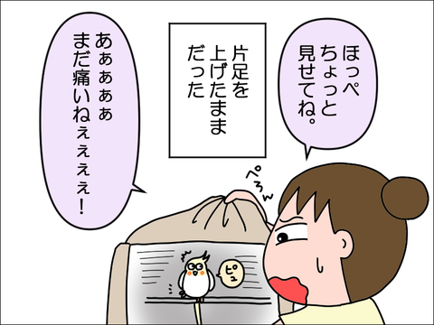 2309wpani11