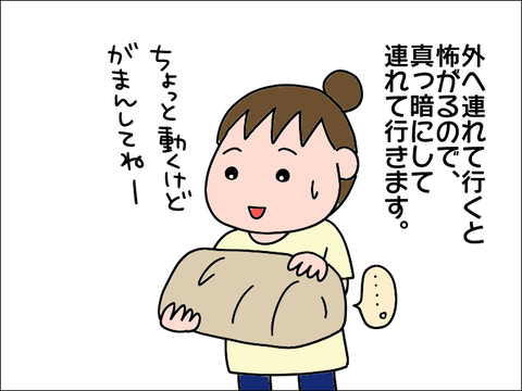 2110hoppe19