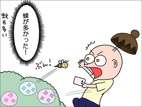 2406caji09