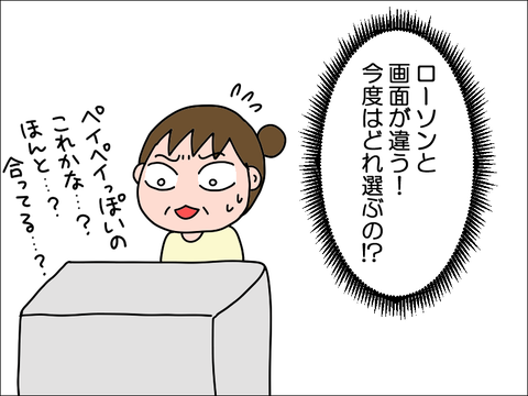 2406vpay11