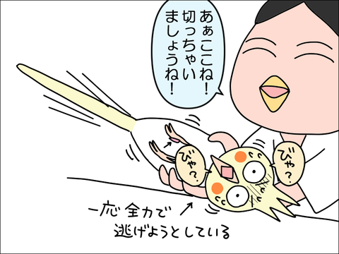 2309wpani19