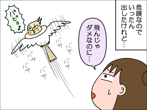 2406okame86