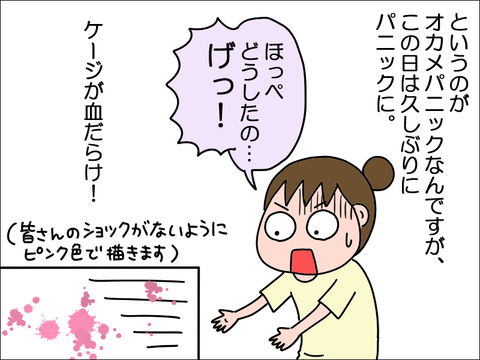 2309wpani05