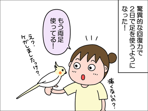 2309wpani57