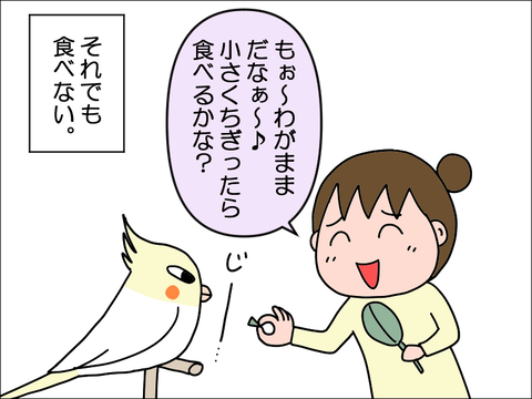 2306qhoppe03