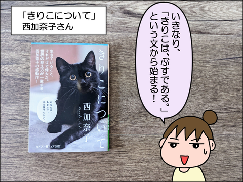 書評】きりこについて(西加奈子) : 絵日記でございます。 Powered by 