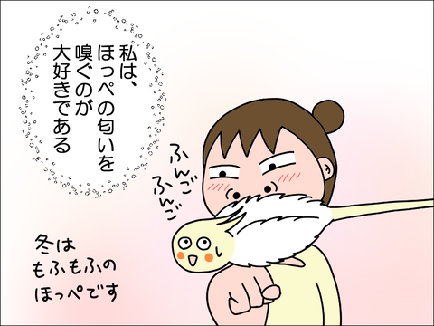 2402tokame01