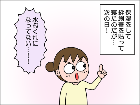 2604oyake06