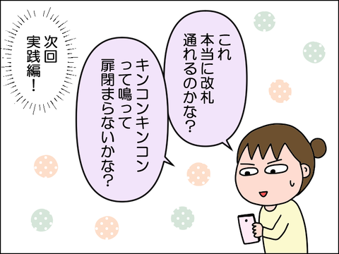 2504hsuica08