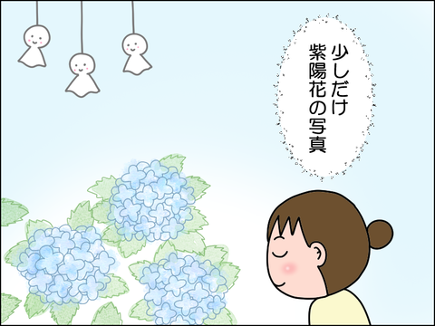 2607yaji01