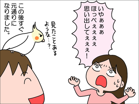 2303nhoppe08