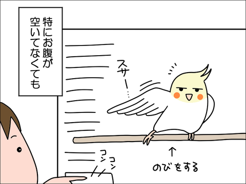 2308rhoppe05