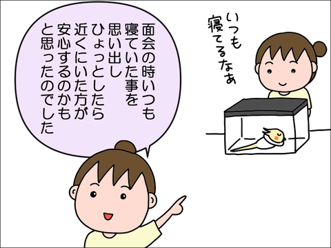 2406okame91