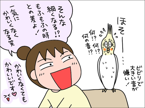 2202hoppe06